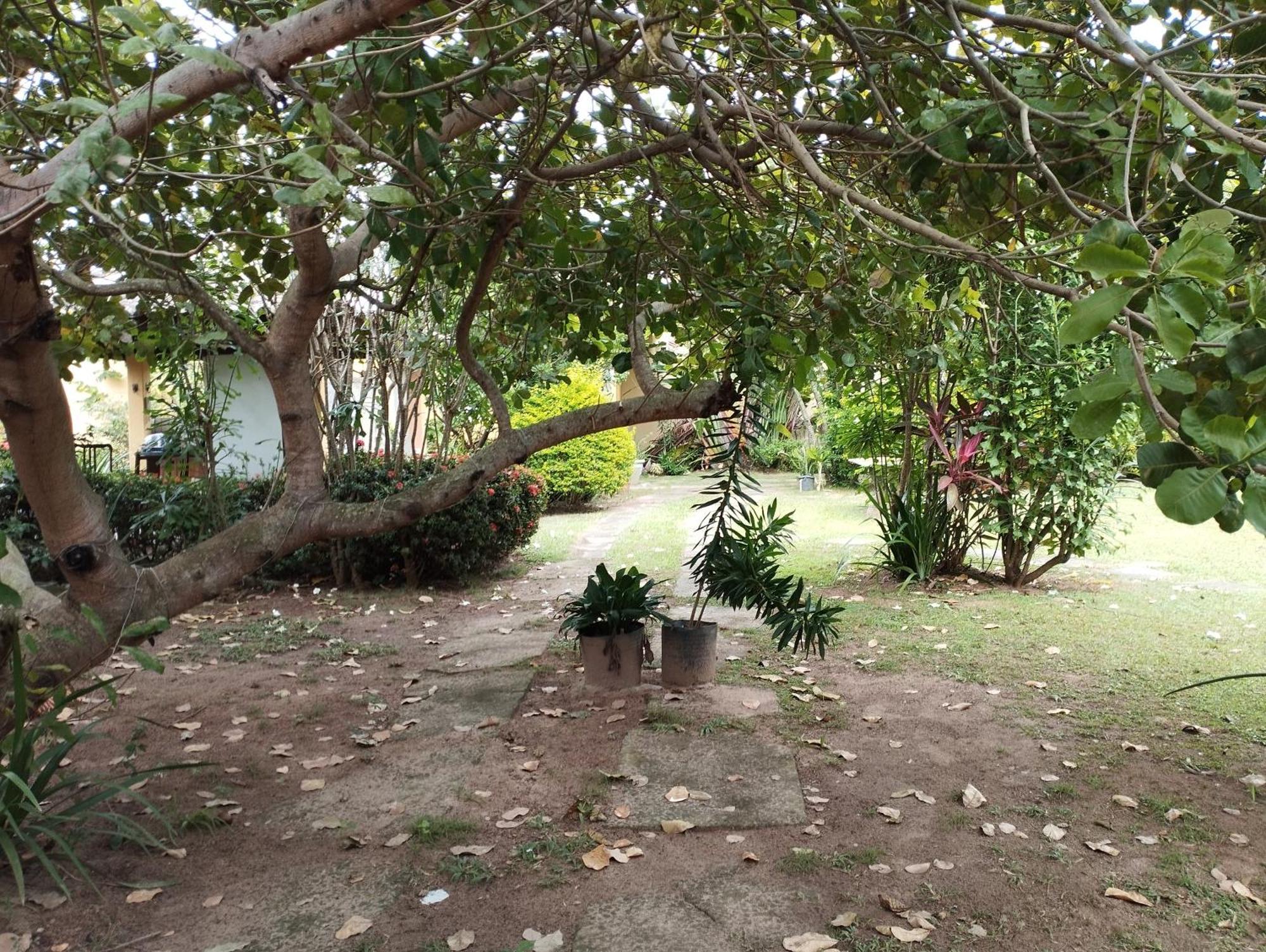 Lumiar Garden Suites E Chales Em Vilas Do Atlantico Lauro de Freitas Extérieur photo