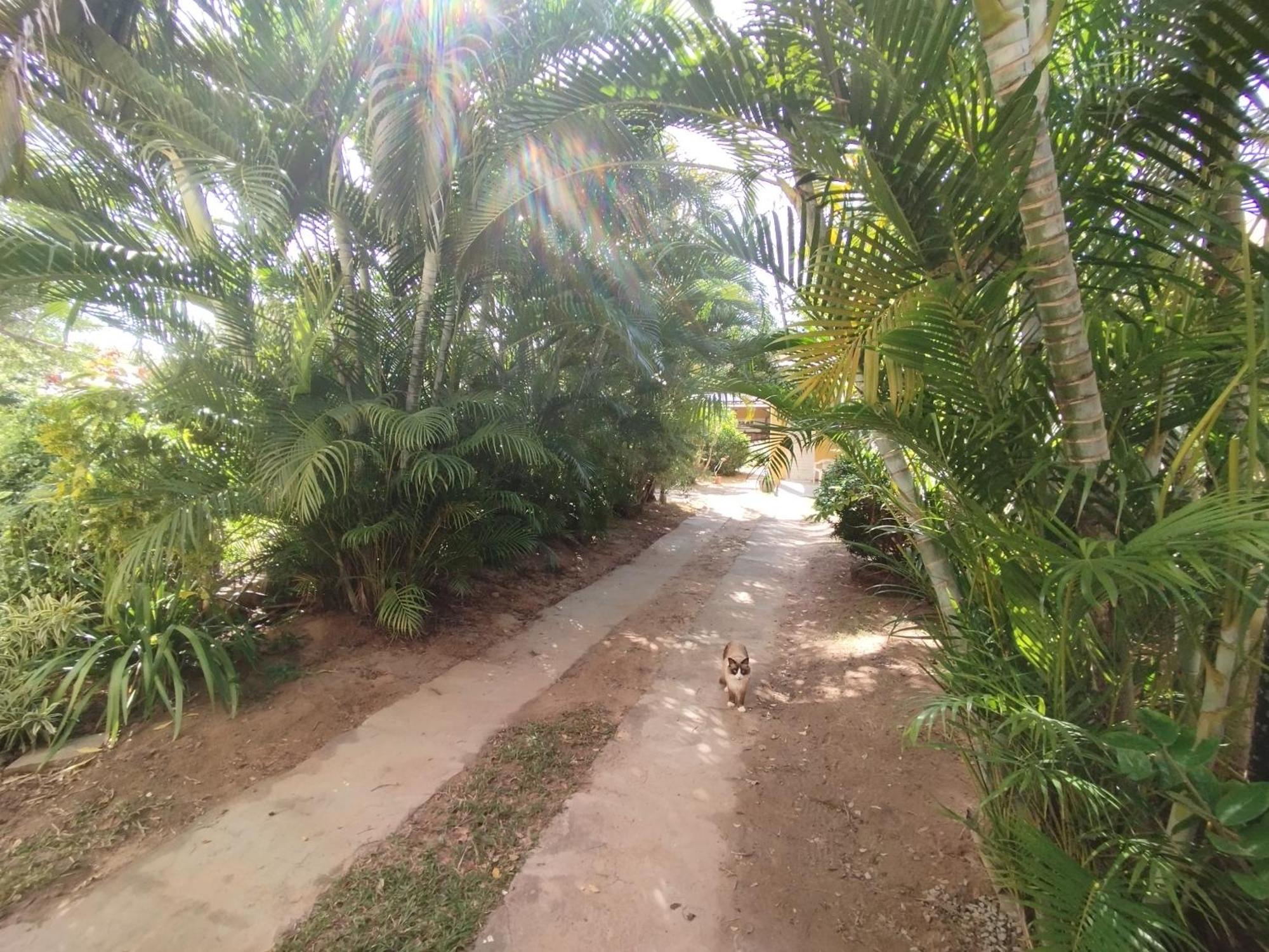 Lumiar Garden Suites E Chales Em Vilas Do Atlantico Lauro de Freitas Extérieur photo